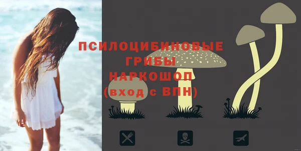 мет Аркадак