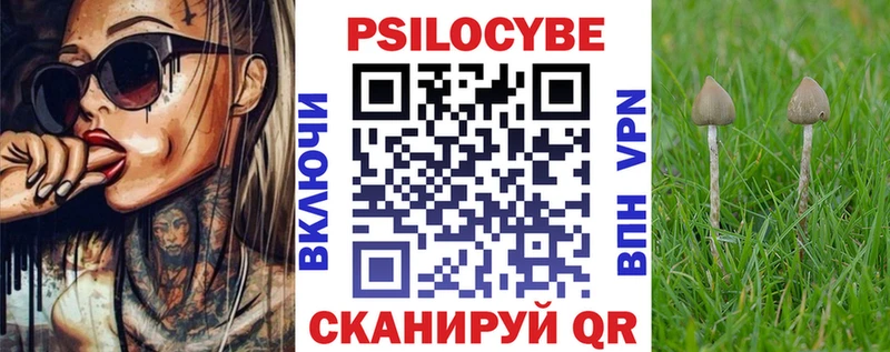 Псилоцибиновые грибы мухоморы  цена наркотик  Бирюч 